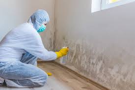 Professional Mold Removal Services in Smithville, MO